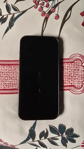 Iphone 16 pró max