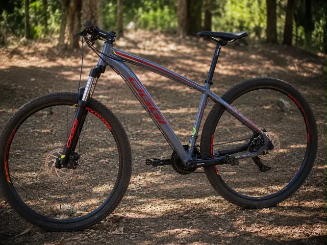 Bicicleta