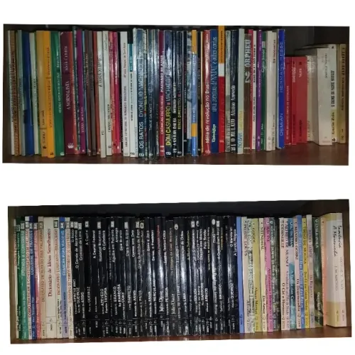 ACERVO COMPLETO: Literatura, Filosofia e Raridades