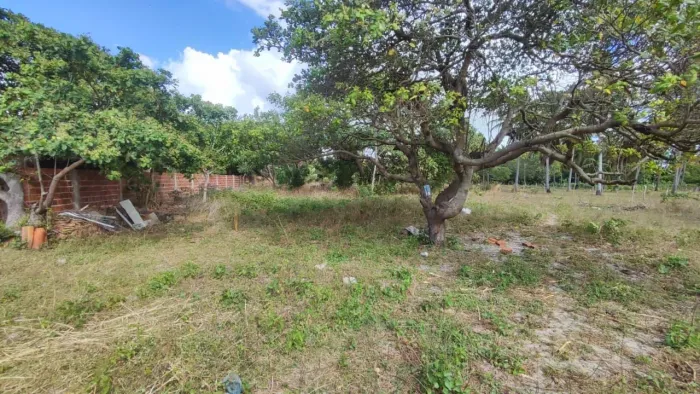 TERRENO À VENDA - PARACURU/CE
