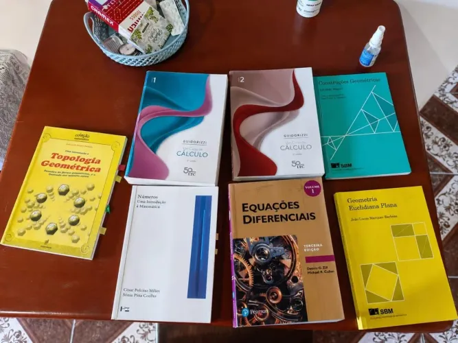Um curso de cálculo guidorizzi vol 1 e vol 2