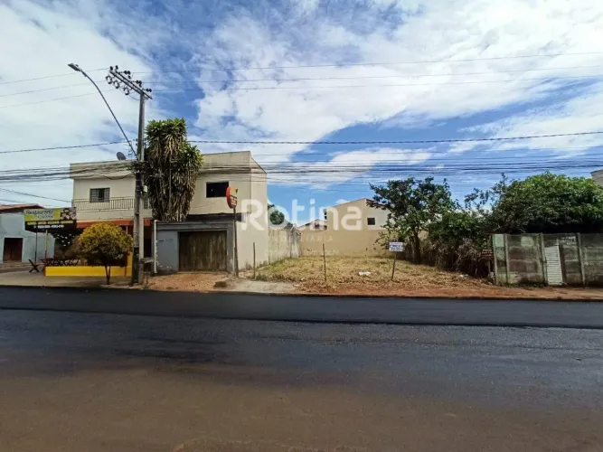 Terreno para alugar, Alto Umuarama - Uberlândia/MG - Rotina Imobiliária