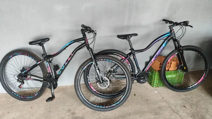 2 Bicicletas aro 29
