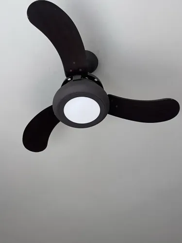Ventilador de teto