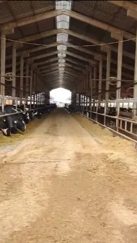 Fazenda Leiteira Curvelo MG<br>30.000m² Delfim Moreira M/G