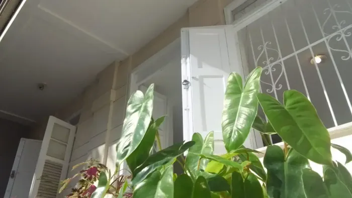 HIPPER PORTUNIDADE NO CORAÇÃO DA TIJUCA !!! CASA NA PRAÇA S.PENÃ