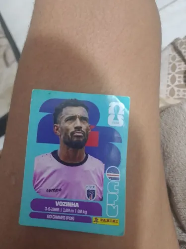 Figurinha do goleiro vozinha