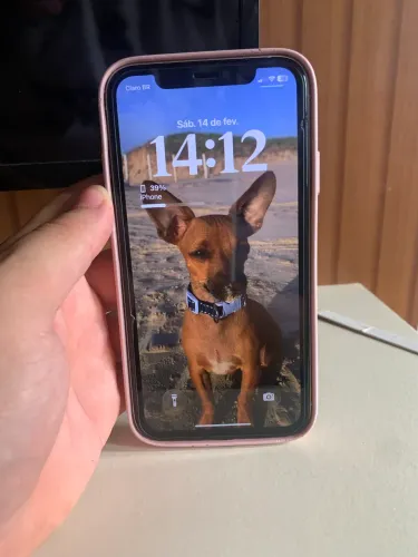 Vendo iPhone 11 novinho 