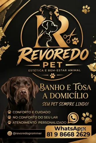 Banho e Tosa a Domicílio *Revoredo Pet*