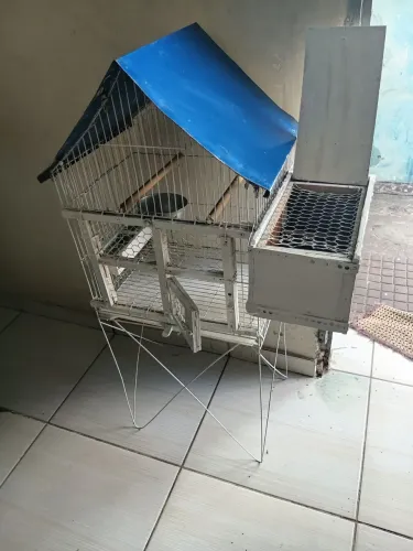 Gaiola Viveiro Arame Galvanizado Semi-novo 1,05x40x30cm Com Todos Os Acessórios Precinho
