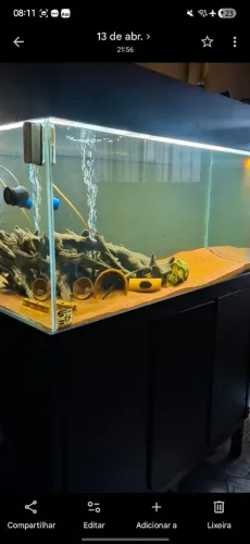 AQUARIO 120X60X60 + SUMP