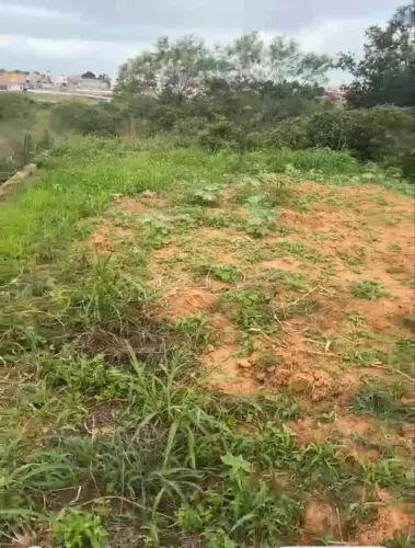 Terreno