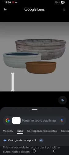 Bacia de cimento para plantas, grande