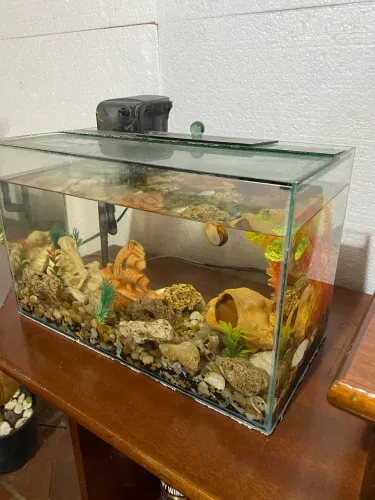 Aquario 20 litros + bomba e decoração