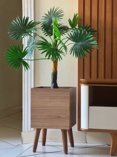 PLANTA DECORATIVA