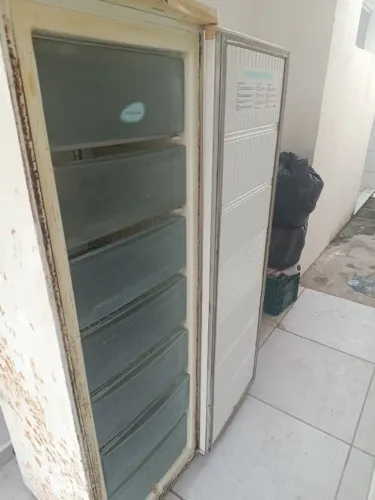 Freezer Vertical