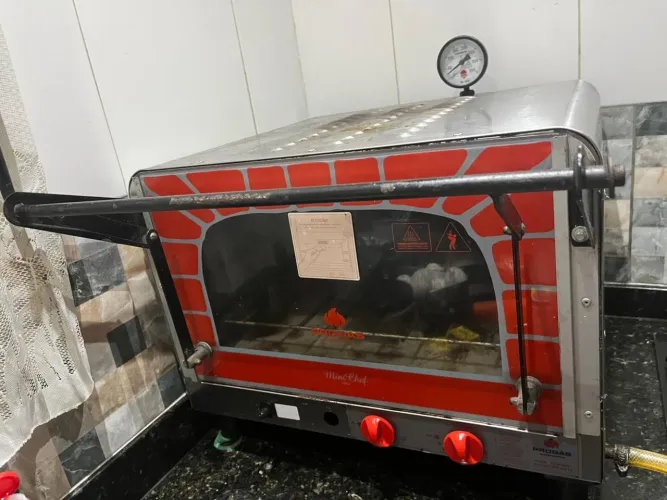 Forno industrial a gás progas