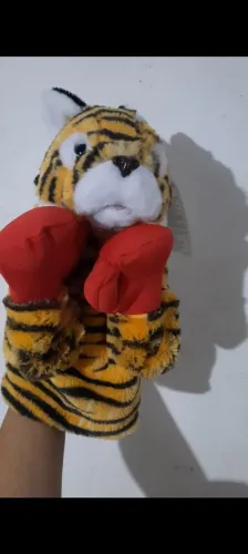 Tigre boxeador 