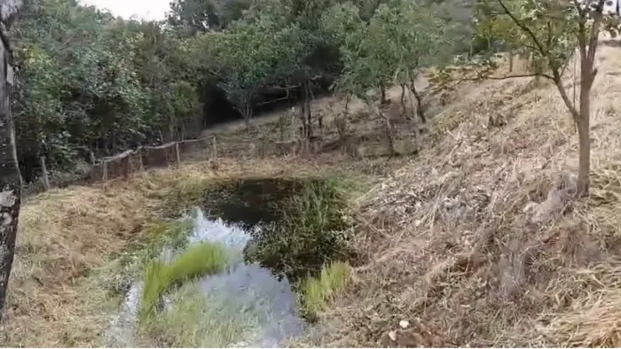 Sítio 4.000m² em Ravena | Nascente, 2 Tanques para Tilápia, Casa e Documentação OK 280,000
