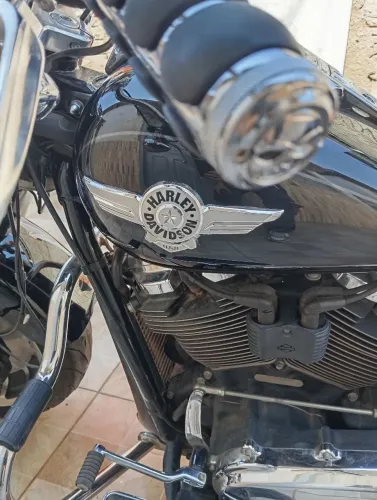 Fatura boy Harley Davidson