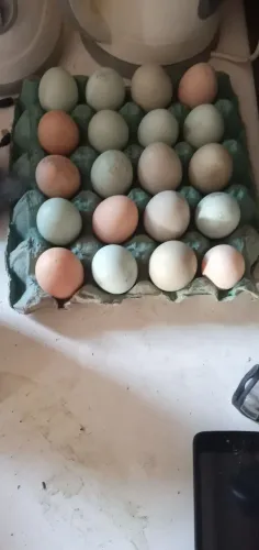 ovos caipira 