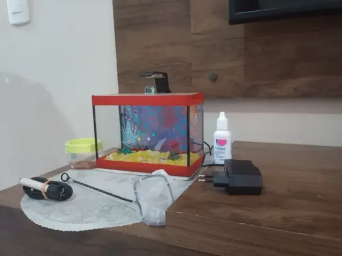 Aquário para peixe Beta