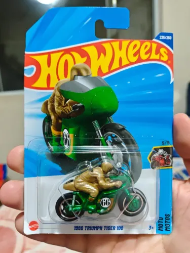 Carrinho Hot Wheels Moto T-hunt