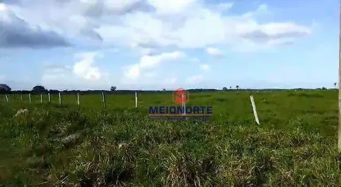 Fazenda com 1 dormitório à venda,  m² por R$ 46.100.000,00 - Jardim Tropical - Imperatriz/