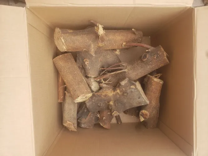 Lenha de Amora para defumação.