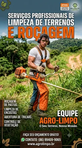 Serviços de roçadeira