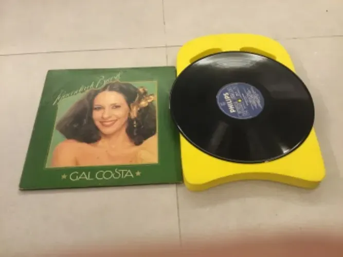 Disco de Vinil de Gal Costa