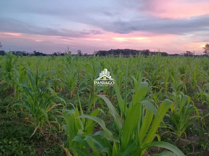 Sítio à Venda ou Troca em Cuiabá/MT | 9,6 Hectares na Região do Rio dos Couros