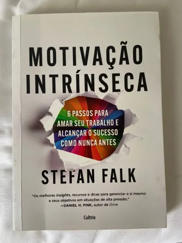 Motivação intrínseca