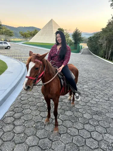 Égua prenha 