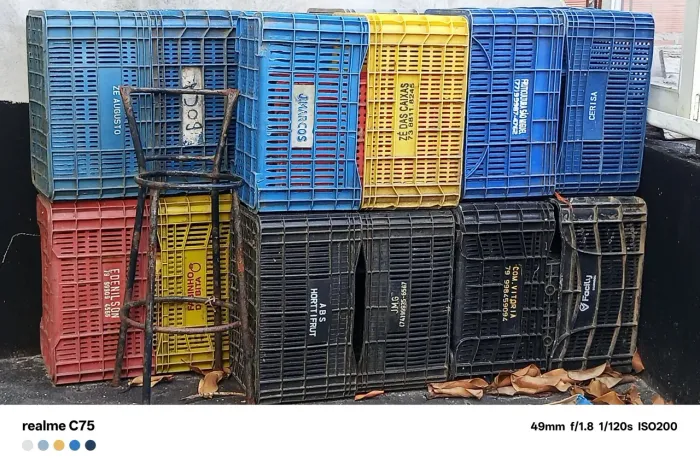 Caixas Plásticas CEASA
