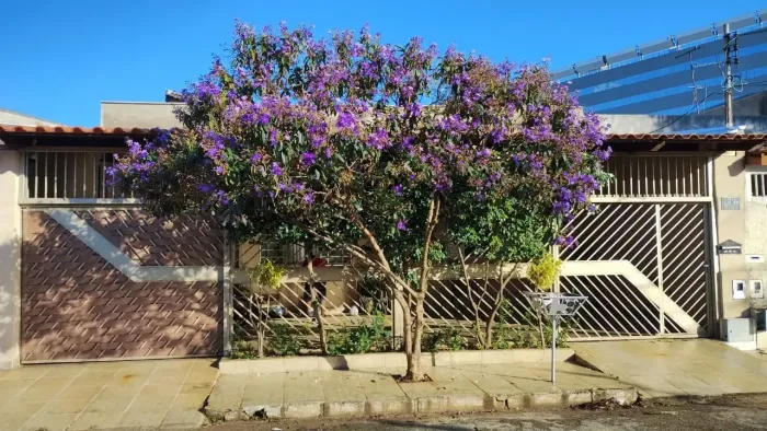 Imóvel para venda tem 232 metros quadrados com 3 quartos em Conjunto Fabiana - Goiânia - G