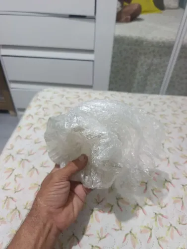 Cúpula Tulipa