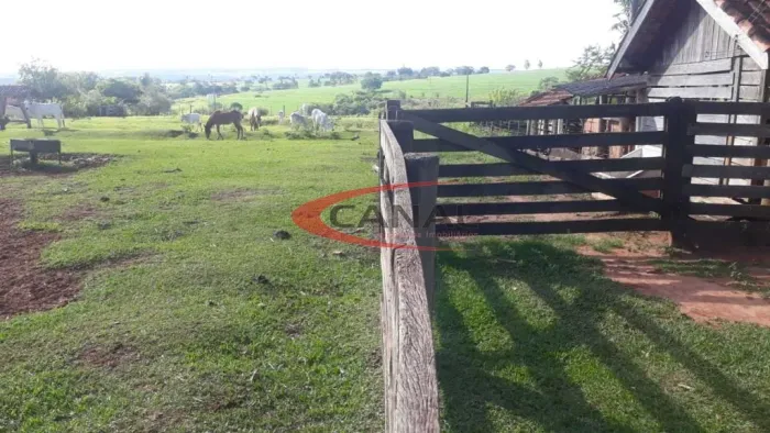 FERNÃO /&BAURU SP! LINDO SITIO 6 ALQUEIRES
