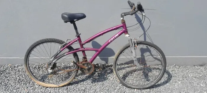 Bicicleta Caloi Roxa