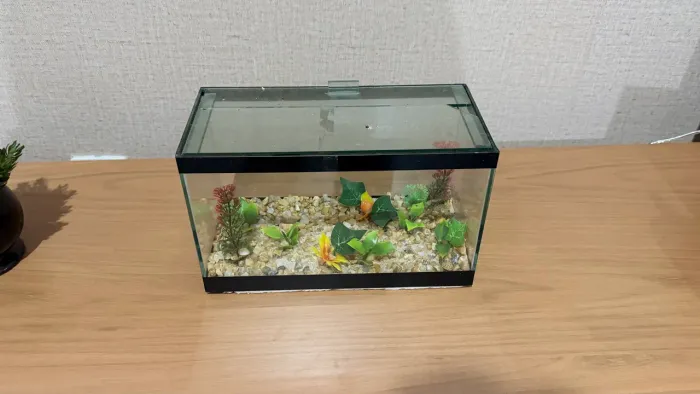 Aquário para peixe pequeno