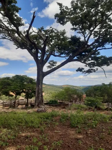 Fazenda