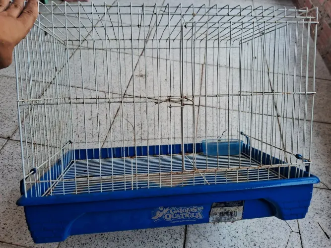 Gaiola para pets