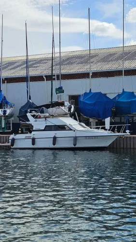 Intermarine - Oceanic - 26