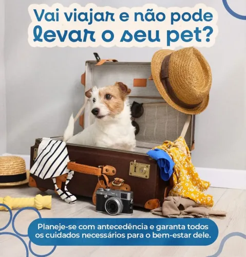 Seu dog na minha casa 