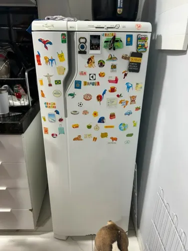 Geladeira Electrolux Cycle Defrost 240L Degelo Prático Uma Porta Branca RE31Geladeira Elec