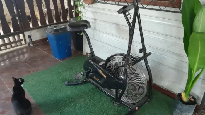 Bicicleta ergométrica