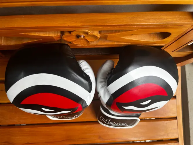 Luva de Boxe Naja 14oz Usada