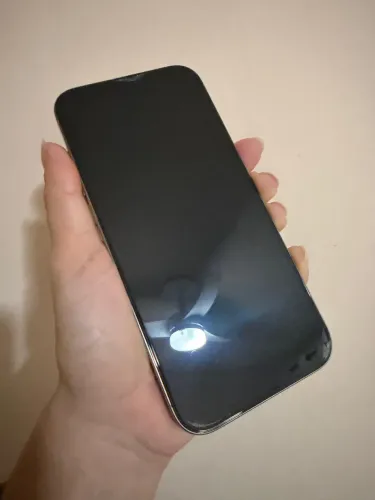 iPhone 16 Pro Max 256gb - Titânio natural