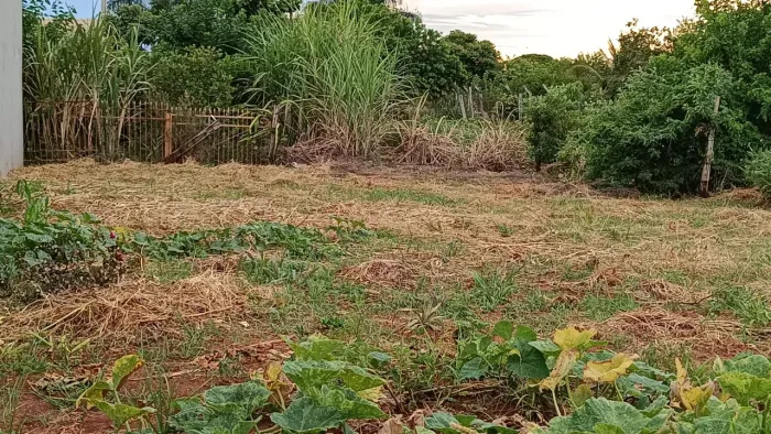 VENDE-SE TERRENO