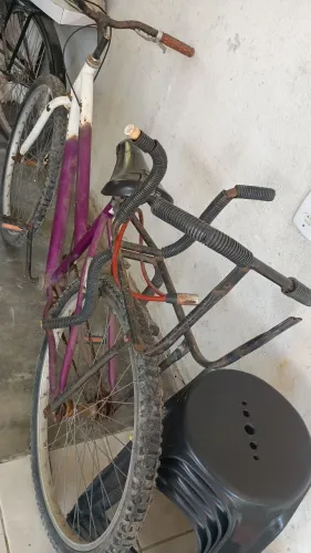 Bicicleta Adulto